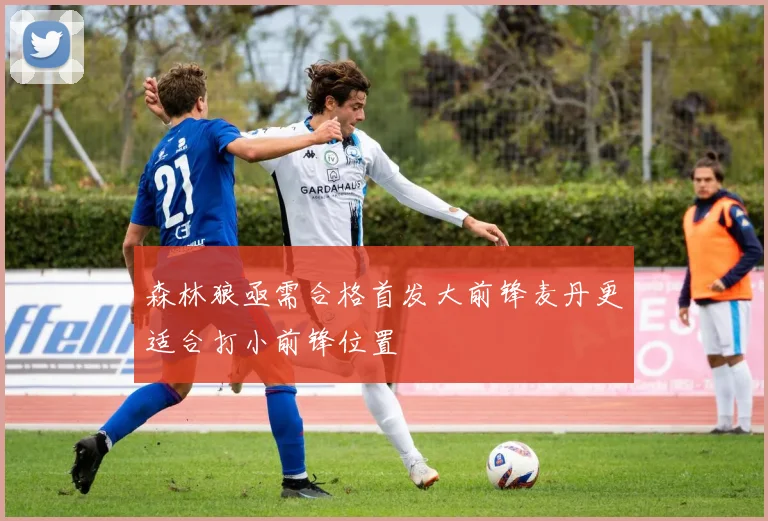 森林狼亟需合格首发大前锋麦丹更适合打小前锋位置